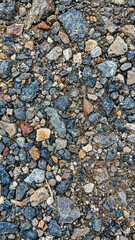 A detailed view of small rocks and gravel scattered across a dirt surface, showcasing natural textures.