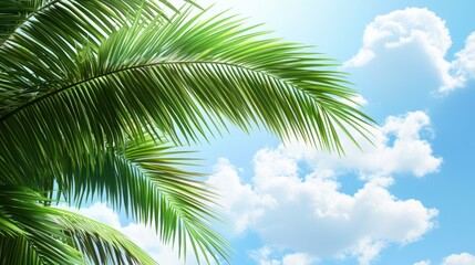 Fototapeta premium Lush green palm leaves gently swaying against a bright blue sky with fluffy white clouds.
