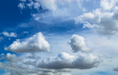 Obraz premium Magnificent cumulus clouds high in blue sky