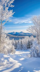 Obraz premium The landscape showcases the Monadnock Region blanketed in fresh snow, with trees glistening under a clear blue sky. Majestic mountains rise in the background, creating a breathtaking winter vista.