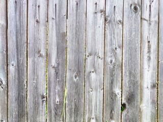 Weathered wooden fence panels with visible knots and textures in bright daylight