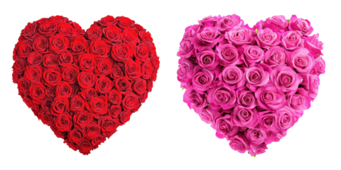 heart made of rose flowers isolated on transparent background