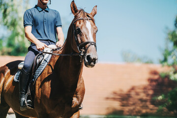 A rider is skillfully mounted on a brown horse during a sunny day. The scene captures the essence of equestrian training and the bond between rider and horse.