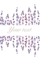 Lavender border frame on transparent background