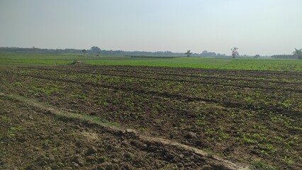 "The Heart of Farming: Green Land Agriculture at its Best"