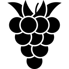 Raspberry Icon