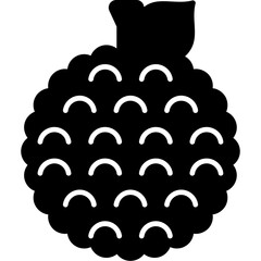 Custard Apple Icon
