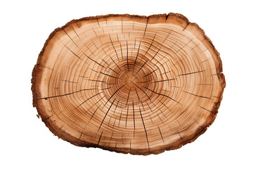 Cross section of oak grove tree trunk showing growth rings isolated on transparent background. Generative ai