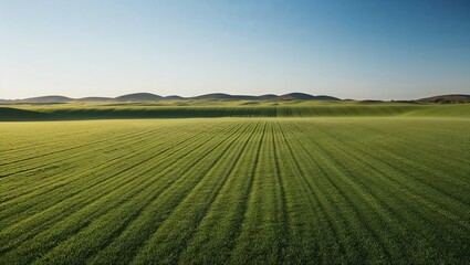 Naklejka premium landscape photograph featuring a vast, open field of lush green grass in the foreground, extending towards the horizon.