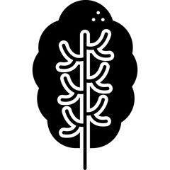 Iceberg Lettuce Icon