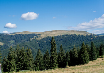 Obraz premium landscape with mountains