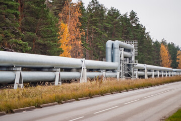 In the photo there is a pipeline and a road, in the background there is a forest