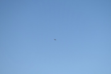 Airplane in the sky
