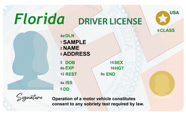 Florida driver's license with female silhouette isolated on white background. Person driver license.