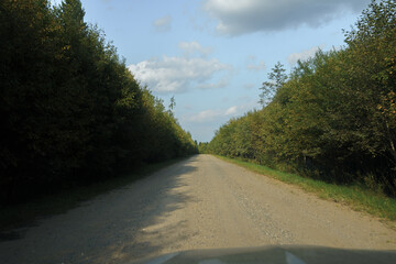 road through the forest