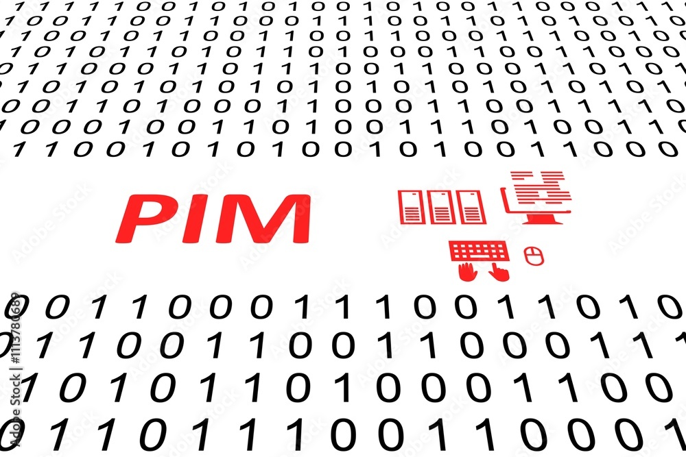 Poster pim concept binary code 3d illustration