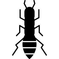 Rove Beetle Icon