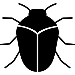 Carpet Beetle Icon