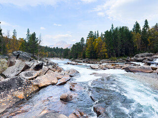 Scenic view of cascading river flowing through rocks and colorful autumn forest in norway, creating a picturesque landscape
