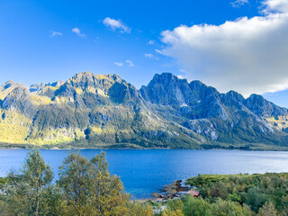 Fototapeta premium Autumn landscape in Lofoten Islands, Northern Norway, featuring colorful foliage, and a peaceful fjord.