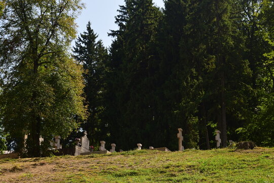 cemetery in autumn