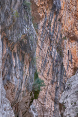 Beautiful rock formations for climbers, stone texture