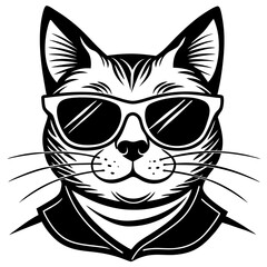 black cat on vector