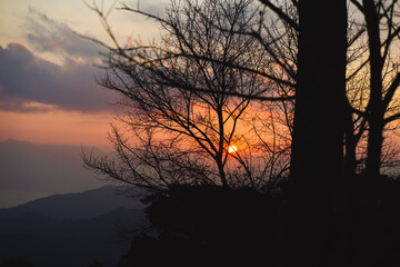 Fototapeta premium landscape and travel concept with sunrise with forest on mountain