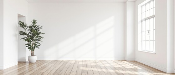 room with large window and wooden floor, sunlight coming through the window creating shadows on the wall, green plant adding freshness, background for product presentation. banner