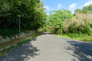 緑に囲まれた静かな散歩道
