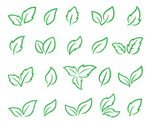 Hand drawn green linear leaves set