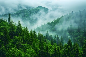 Misty Mountain Landscape with Lush Green Forest and Foggy Atmosphere for Nature Inspiration