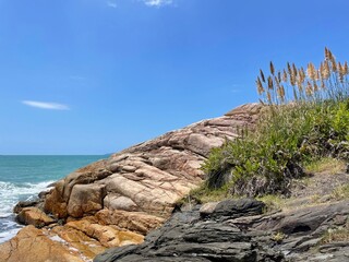 rocky coast of the sea