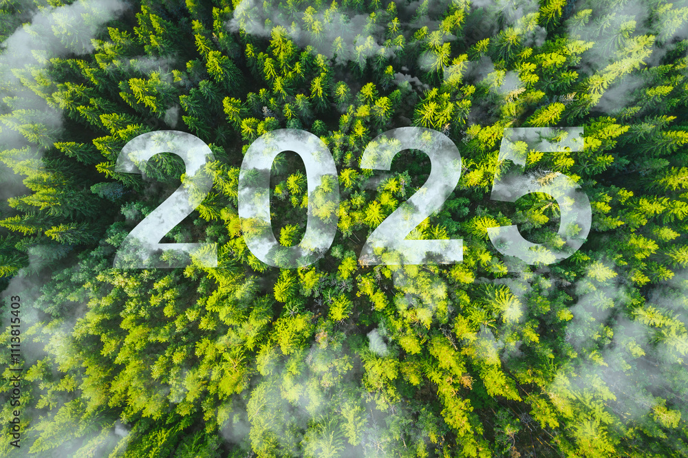 Wall mural new year 2025 environment inspirational abstract nature background of pine trees in a mountain fores