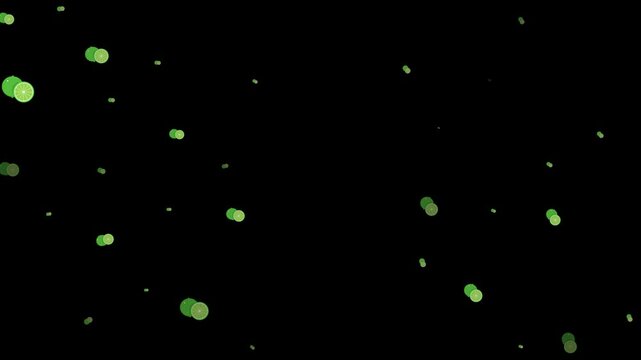 lime, fruit, animated, emoji, green, citrus, fresh, juicy, tropical, sour, zest, slice, vitamin C, healthy, refreshing, summer, cocktail, garnish, limeade, tangy, vibrant, bright, fun, cartoon, illust