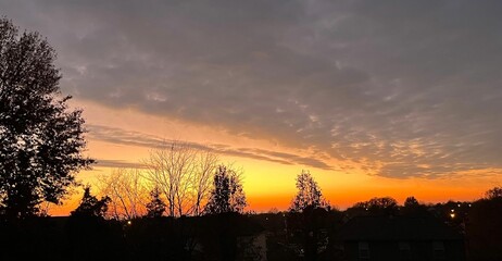 Silhouette of trees at sunset.