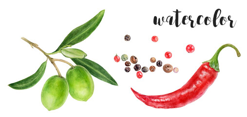 Hand-Painted Watercolor Red Pepper, Black Peppercorns, and Green Olives Botanical Illustration