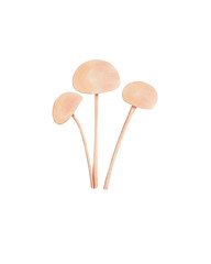 Mushroom Illustration