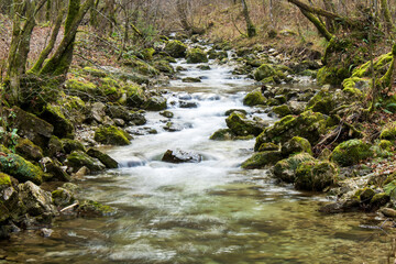 waterfall in the forest 
the gorge of hell Borovnica, Slovenija