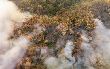 Wildfires release carbon dioxide (CO2) emissions and other greenhouse gases (GHG) that contribute...