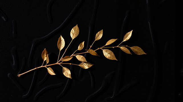 Golden olive branch on textured black fabric