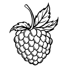 Line art of a raspberry. Vector illustration