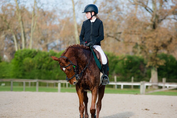 Close-up of a beautiful young rider and her mare in competition attire