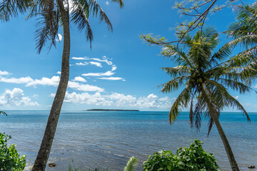 Serene tropical ocean view with palm trees and clear blue skies at midday