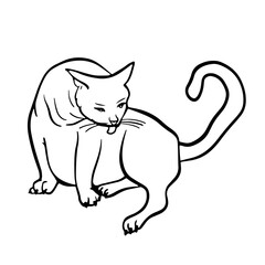 funny cat is sitting and washing her face. Free hand Fat cute domestic pet illustration. Trendy doodle icon. Sketch style crooked vector.
