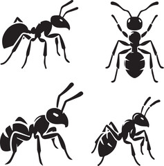 Silhouette Illustrations of Ants - Vector Graphics