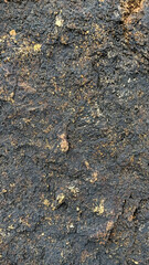 Detailed view of a weathered rock surface showcasing dark tones, natural textures, and organic formations.