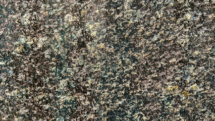 Detailed view of a weathered rock surface showcasing dark tones, natural textures, and organic formations.