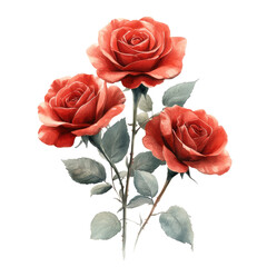 Fototapeta premium A simple and elegant trio of red roses paired with muted green leaves, showcasing natural beauty and timeless romantic charm.