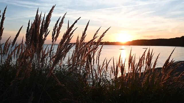 Abend am Stettiner Haff bei Kamminke